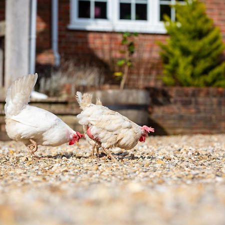 Langford Farmhouse - New Forest National Park Luxury 4Bd, Hot Tub, Cinema, 10 Acres Bartley エクステリア 写真
