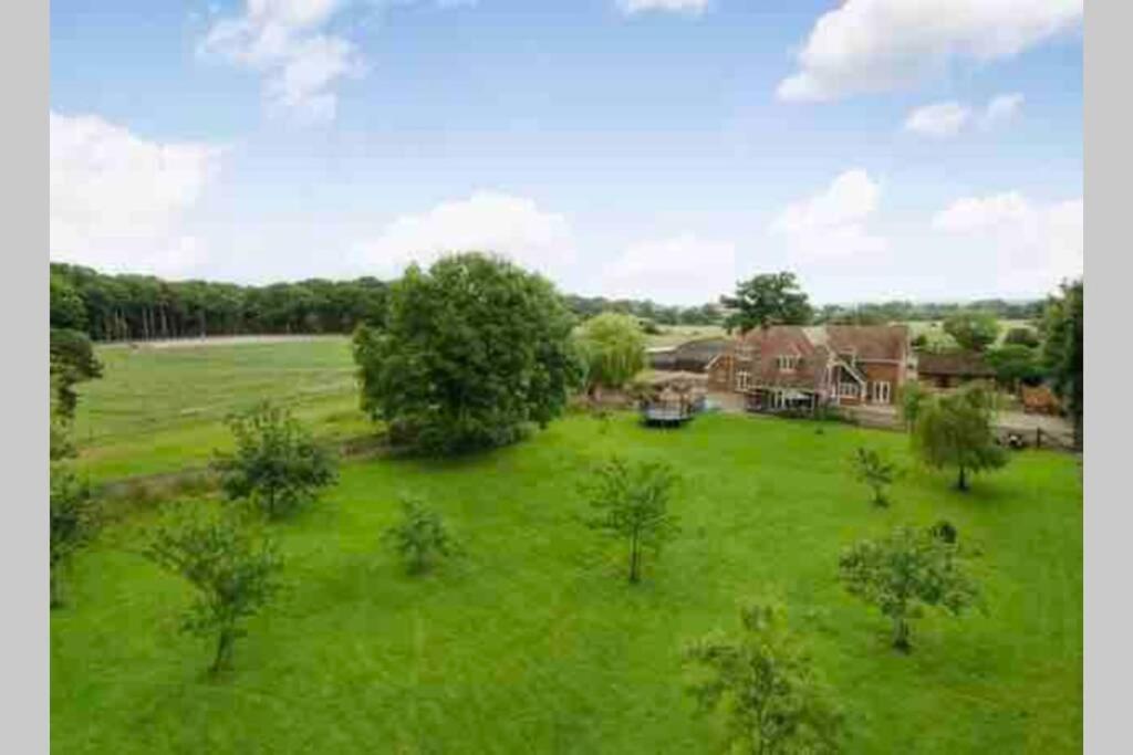 Langford Farmhouse - New Forest National Park Luxury 4Bd, Hot Tub, Cinema, 10 Acres Bartley エクステリア 写真
